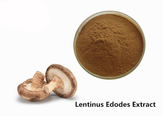 Trung Quốc Thực phẩm chống mệt mỏi lớp chiết xuất nấm Shiitake nhà cung cấp