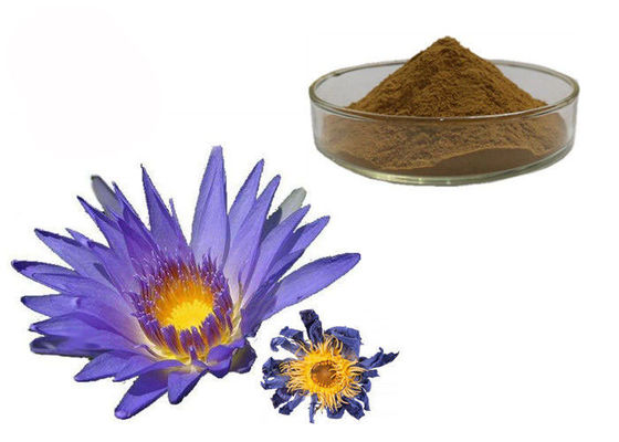 Trung Quốc Bột hoa cúc Nymphaea Caerulea nhà cung cấp
