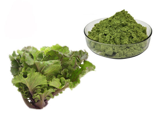 Trung Quốc Nước ép chiết xuất cải xoăn nhà cung cấp
