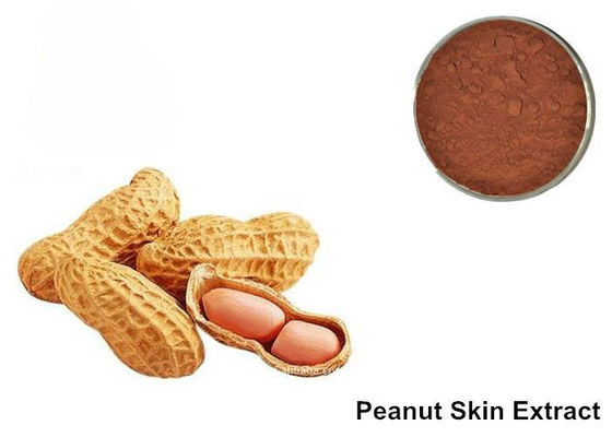 Trung Quốc 95% Proanthocyanidins Bột chiết xuất đậu phộng da Anthocyanin nhà cung cấp