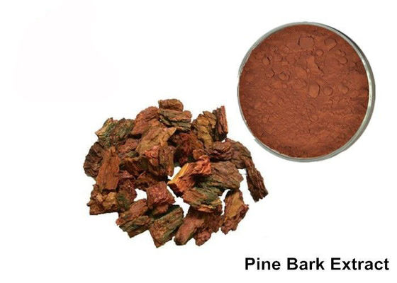 Trung Quốc Bột chống lão hóa OPC thông vỏ cây cho mỹ phẩm nhà cung cấp