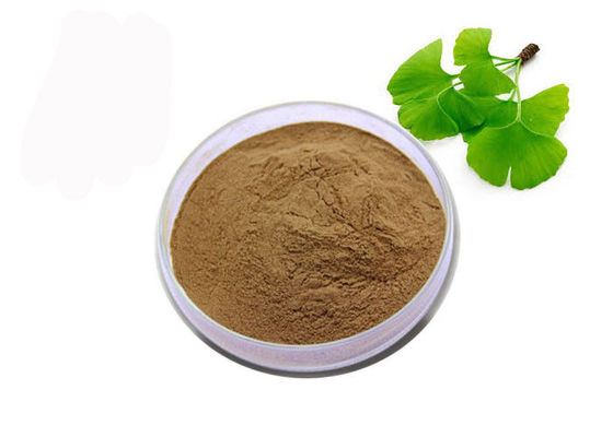 Trung Quốc USP Lớp Ginkgo Biloba hữu cơ nhà cung cấp