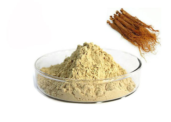Trung Quốc 10% chiết xuất hồng sâm Ginsenosides nhà cung cấp