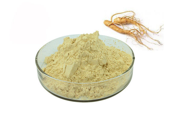 Trung Quốc 30% Ginsenosides Anti Aging Light Yellow Ginseng Extract Powder nhà cung cấp
