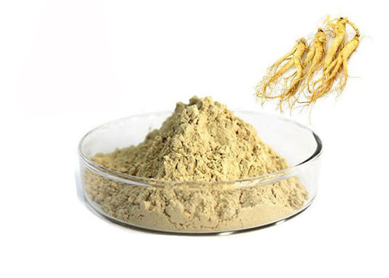Trung Quốc Dược phẩm 80% Panax Root chiết xuất nhân sâm tự nhiên nhà cung cấp