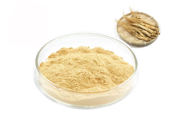 Trung Quốc Rễ hữu cơ Siberian 30% 80% Ginsenosides Chiết xuất nhân sâm nguyên chất nhà cung cấp