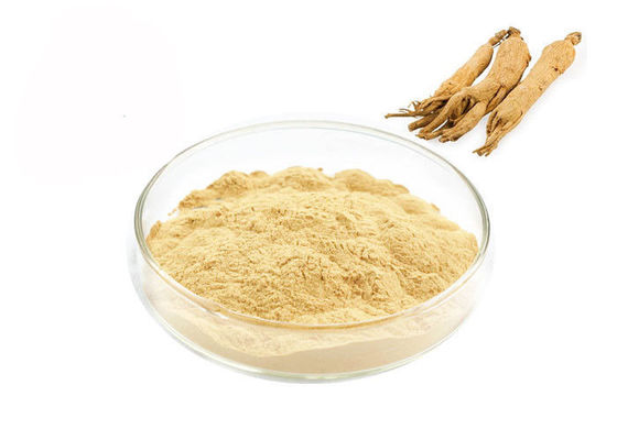 Trung Quốc Chăm sóc sức khỏe cải thiện bột chiết xuất nhân sâm miễn dịch nhà cung cấp