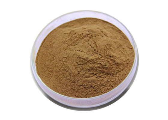 USP Lớp Ginkgo Biloba hữu cơ nhà cung cấp