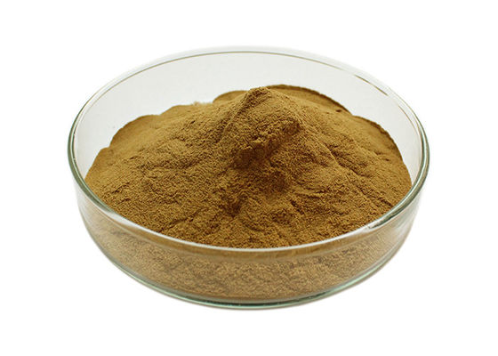 Sở hữu huyết áp Ginkgo Biloba số lượng lớn bột nhà cung cấp