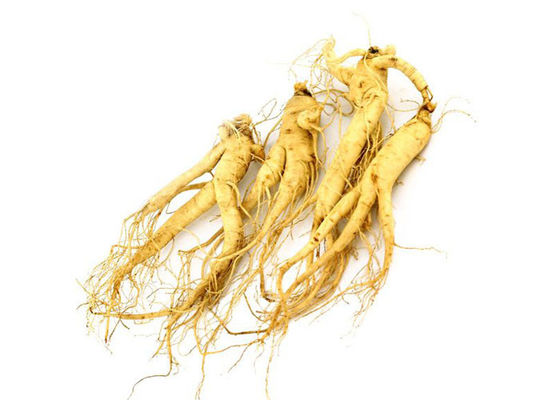 Dược phẩm 80% Panax Root chiết xuất nhân sâm tự nhiên nhà cung cấp