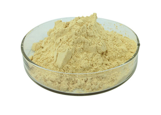 30% Ginsenosides Anti Aging Light Yellow Ginseng Extract Powder nhà cung cấp