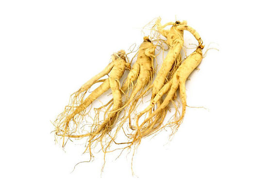 30% Ginsenosides Anti Aging Light Yellow Ginseng Extract Powder nhà cung cấp
