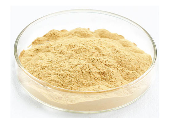 Rễ hữu cơ Siberian 30% 80% Ginsenosides Chiết xuất nhân sâm nguyên chất nhà cung cấp