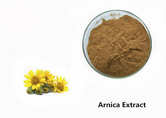 Bột chiết xuất thực vật Arnica nhà cung cấp