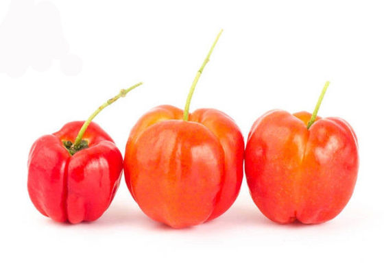 Vitamin C 17% 25% Acerola Cherry Fruit Extract Extract nhà cung cấp