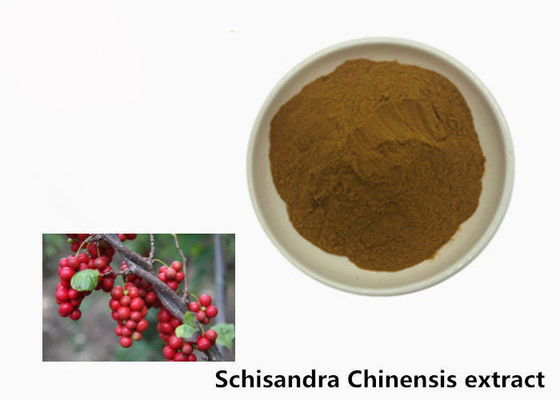 Hepatoprotective 5,2% Schisandra Chinensis Powder Extract Powder nhà cung cấp