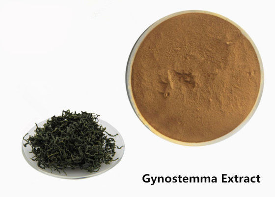 Thực phẩm cấp chống khối u thảo dược Gynostemma Powder nhà cung cấp
