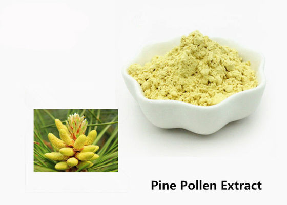 Chăm sóc sức khỏe 1kg chiết xuất phấn hoa thông tự nhiên nhà cung cấp