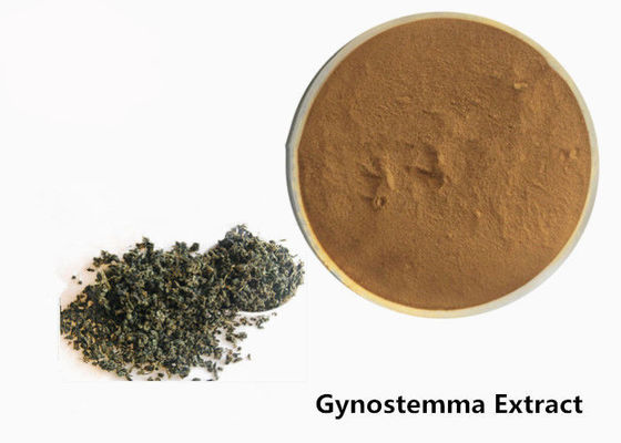 Thực phẩm cấp chống khối u thảo dược Gynostemma Powder nhà cung cấp