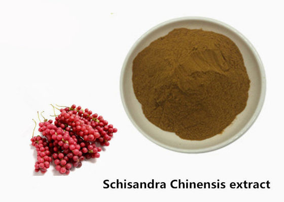 Hepatoprotective 5,2% Schisandra Chinensis Powder Extract Powder nhà cung cấp