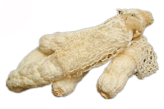 Chiết xuất hữu cơ Dictyophora Indusiata nhà cung cấp