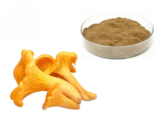 30% Polysacarit Bột chiết xuất nấm Chantarelle nhà cung cấp