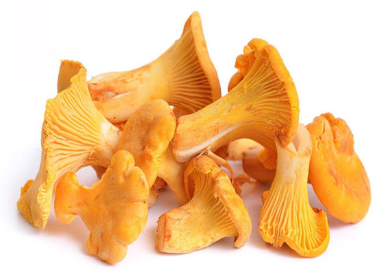 30% Polysacarit Bột chiết xuất nấm Chantarelle nhà cung cấp