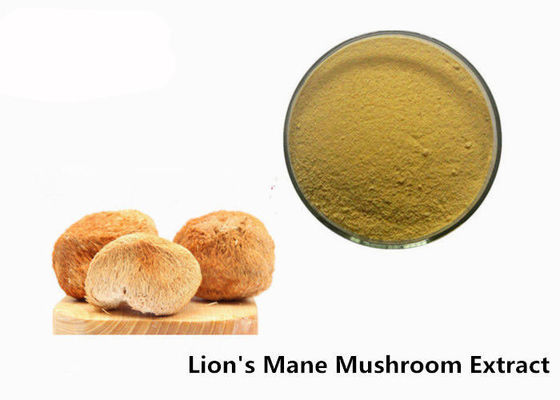 Anti Viral 50% Beta D Glucan Organic Lion'Soue Mushroom Powder nhà cung cấp