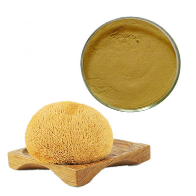 Anti Viral 50% Beta D Glucan Organic Lion'Soue Mushroom Powder nhà cung cấp