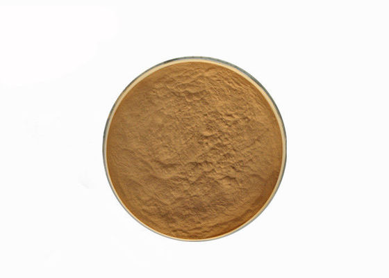 Hericum Erinaceus 10% Polysacarit Bột chiết xuất nấm nhà cung cấp