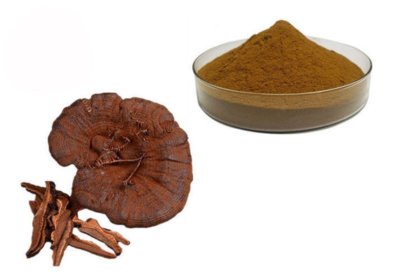 50% Bột tinh khiết nấm linh chi Lucidum Reishi nhà cung cấp