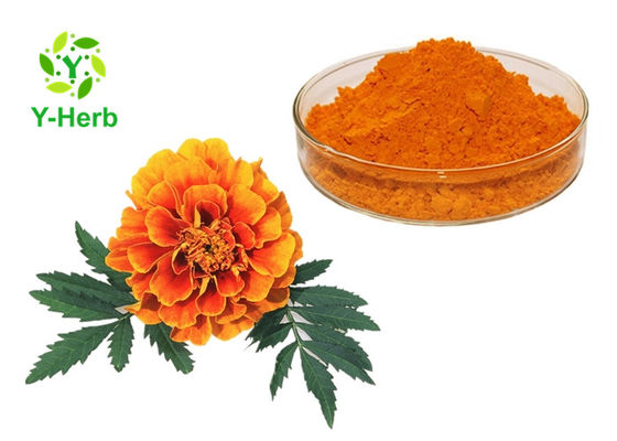 Bột màu tự nhiên Xanthophyll Hoa cúc vạn thọ nhà cung cấp