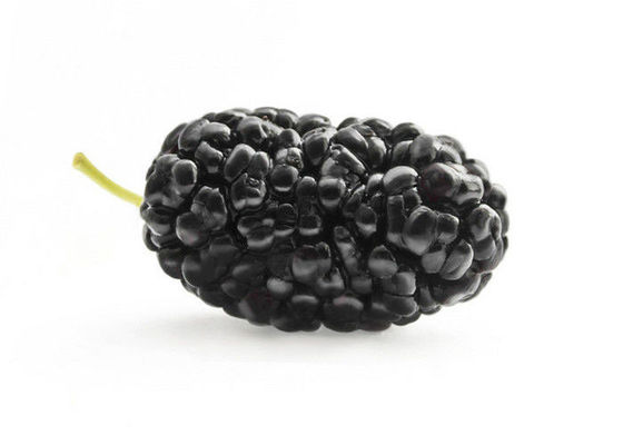 Anthocyanin Fruit Mulberry Chiết xuất bột thảo dược cho phụ gia thực phẩm nhà cung cấp