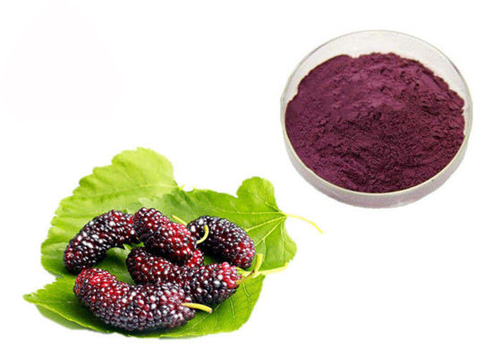 Anthocyanin Fruit Mulberry Chiết xuất bột thảo dược cho phụ gia thực phẩm nhà cung cấp