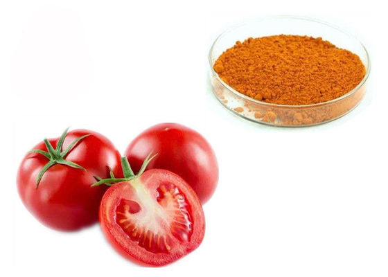 6% 10% 20% Lycopene 502-65-8 Chiết xuất từ ​​quả cà chua khử nước nhà cung cấp