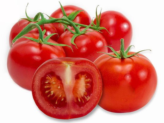 6% 10% 20% Lycopene 502-65-8 Chiết xuất từ ​​quả cà chua khử nước nhà cung cấp