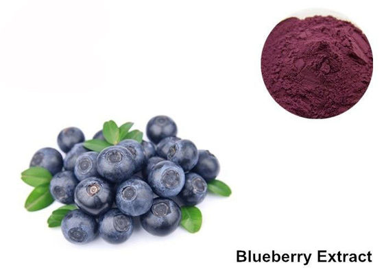 Chiết xuất hữu cơ Blueberry cho mắt nhà cung cấp
