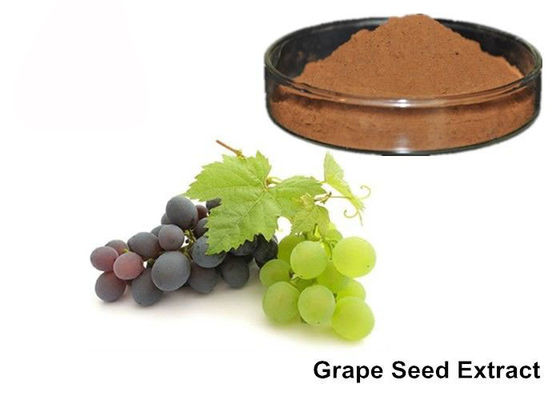 25% Anthocyanin Pure Grapeseed / Chiết xuất từ ​​vỏ nho nhà cung cấp