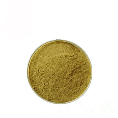 Gymnema Sylvestre Leaf Anthocyanin Extract Powder cho dược phẩm nhà cung cấp