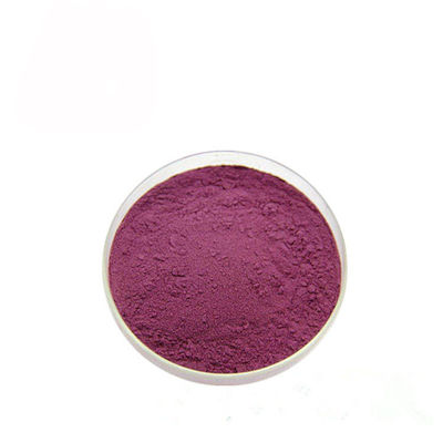 Nước ép cô đặc Black Currant 10% Anthocyanin Extract Powder nhà cung cấp