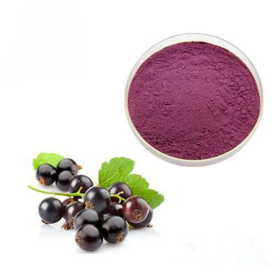 Nước ép cô đặc Black Currant 10% Anthocyanin Extract Powder nhà cung cấp