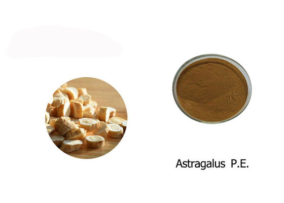 100% bột chiết xuất Astragalus nhà cung cấp