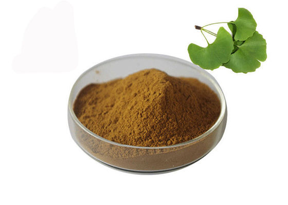 Sở hữu huyết áp Ginkgo Biloba số lượng lớn bột nhà cung cấp