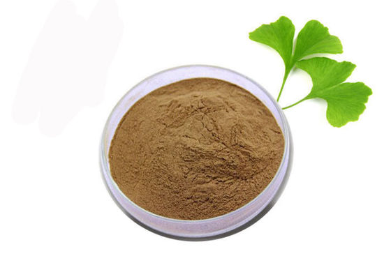 Lớp y tế chống oxy hóa tinh khiết Ginkgo Biloba Extract Powder nhà cung cấp
