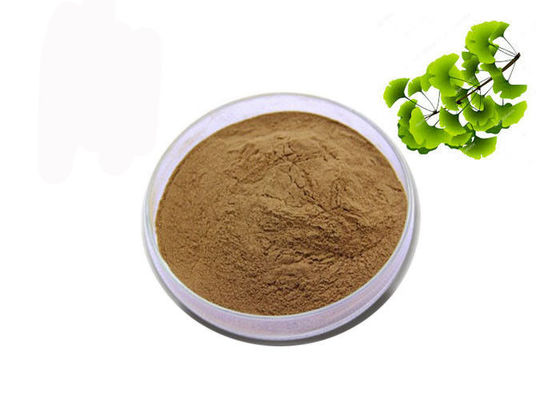 CAS 90045-36-6 Lá khô hữu cơ Ginkgo Biloba Extract Powder nhà cung cấp
