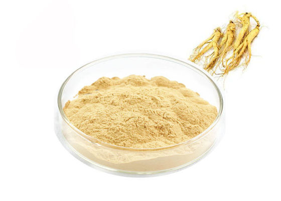 Thực phẩm cấp chiết xuất nhân sâm Panaxoside cho các sản phẩm sức khỏe nhà cung cấp