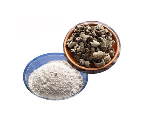 Magnolol Magnolia Bark Extract Powder nhà cung cấp