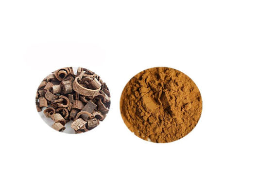 Magnolol Magnolia Bark Extract Powder nhà cung cấp