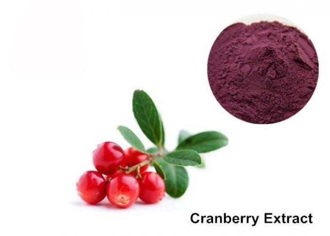 Cranberry Fruit Purple Red 25% Anthocyanin Extract Powder 0