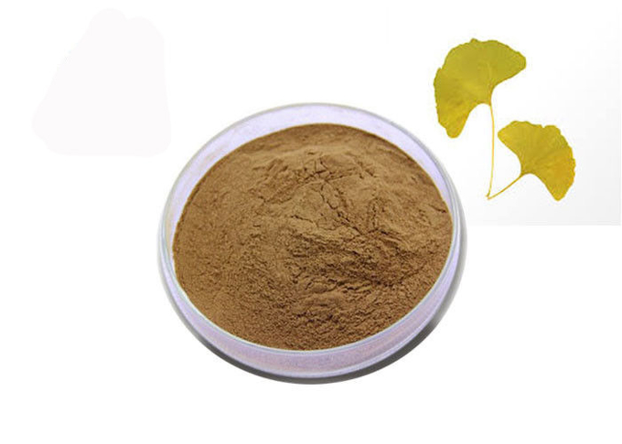 24% Flavones 6% Lactones Pure Ginkgo Biloba Extract Powder 0